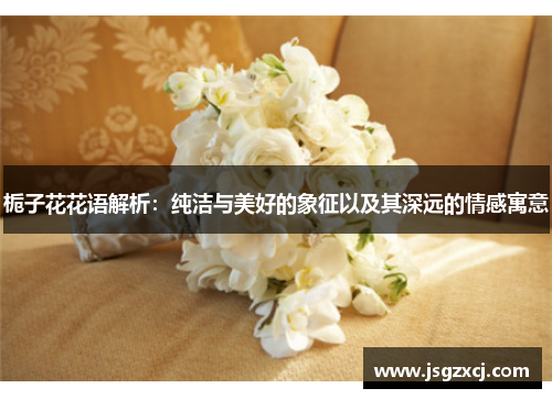栀子花花语解析：纯洁与美好的象征以及其深远的情感寓意