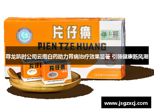 尊龙凯时公司云南白药助力胃病治疗效果显著 引领健康新风潮